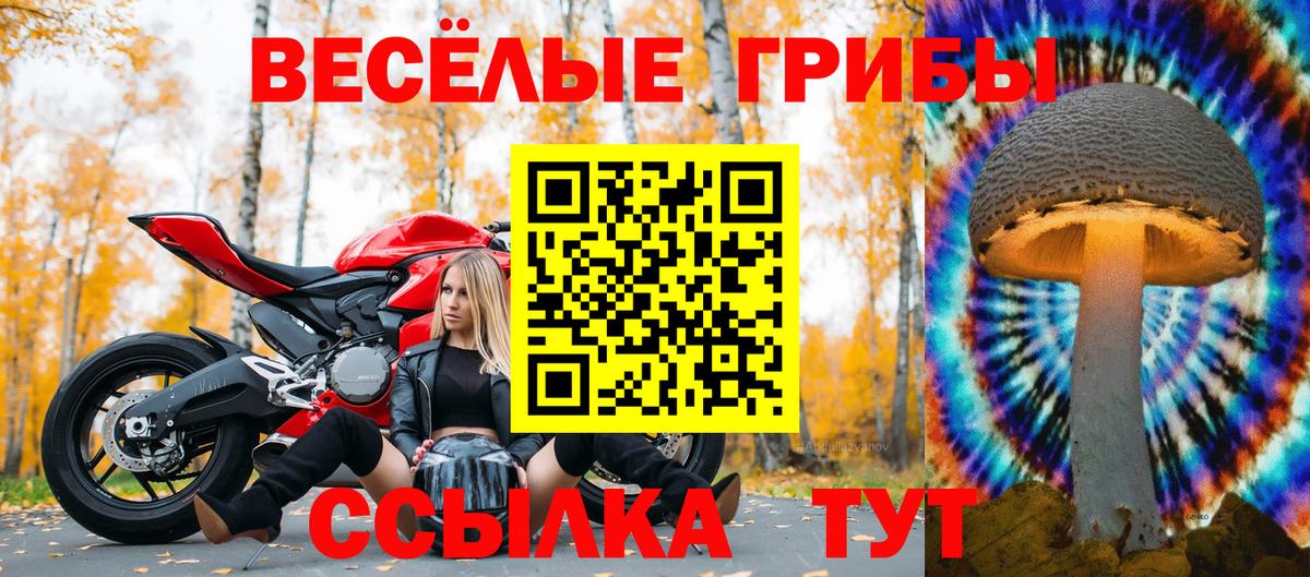 Псилоцибиновые грибы Cubensis Черногорск
